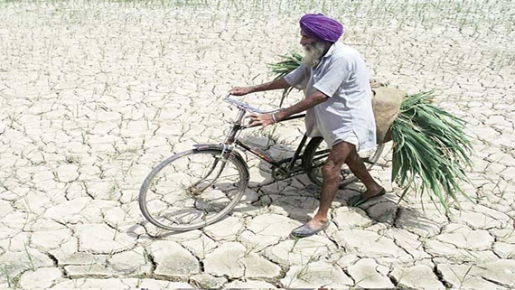 ਪ੍ਰਤੀਕਾਤਮਕ ਤਸਵੀਰ